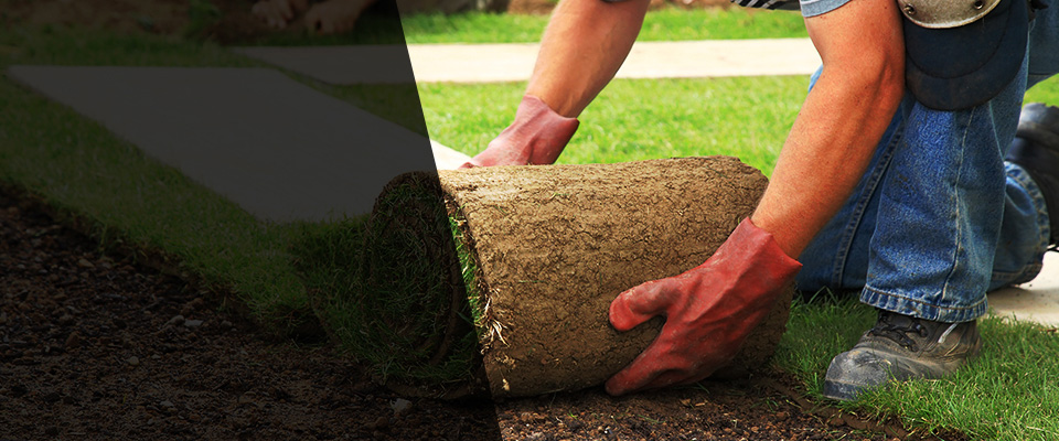 Summerville Landscapers